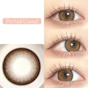 [1Day]Primore Pri Girl Camel プリモア プリガールキャメル